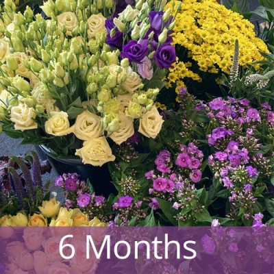 6 Month Flower Subscription - 6 Month Flower Subscription