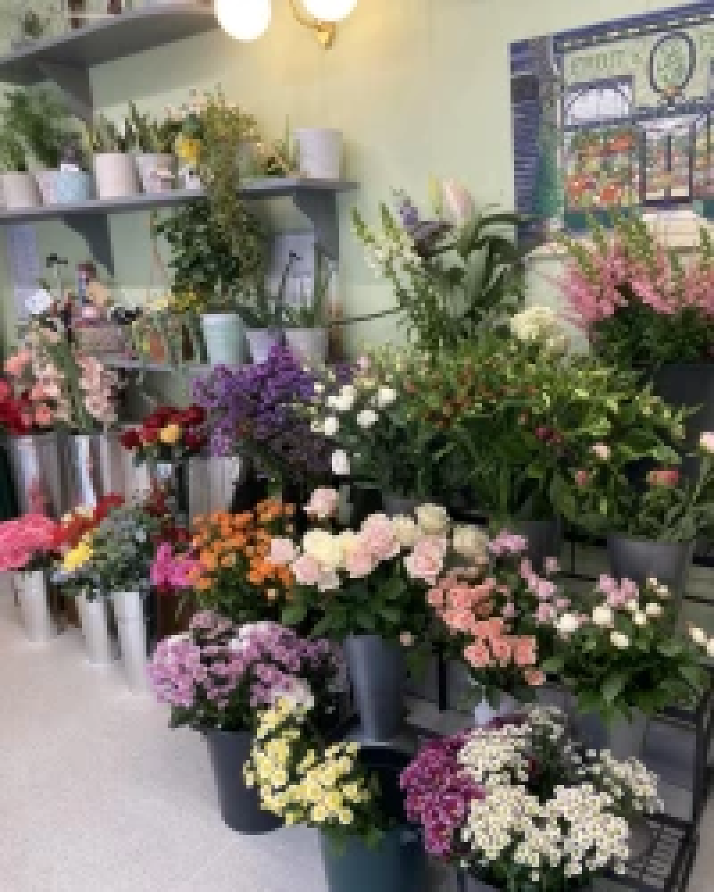 Florist Choice Hand-tied