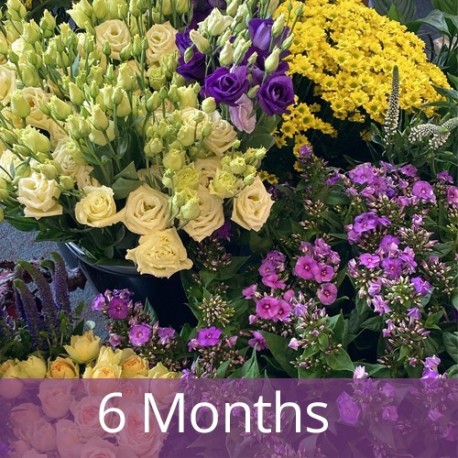 6 Month Flower Subscription